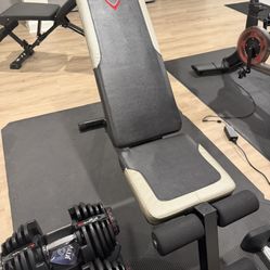 Work Out Bench 