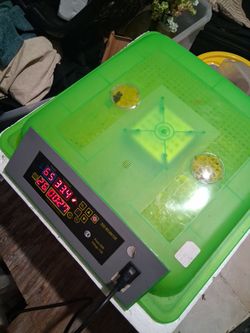 Incubator