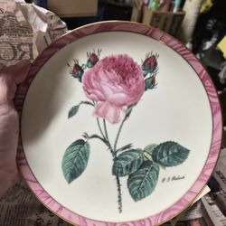 Rose d'Avignon Plates Full Collection