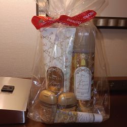 New Gift Bags Bath and Bodyworks  And Victoria  Secret 