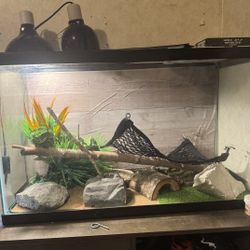 Lizard or Bearded Dragon Tank!