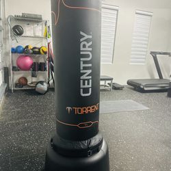 Century Kicking Bag