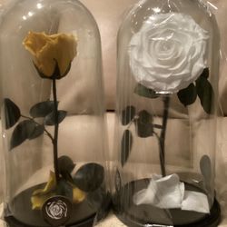 MOTHER’S DAY | PRESERVED ROSE BOX | WHITE OR YELLOW | NEW | LARGE 