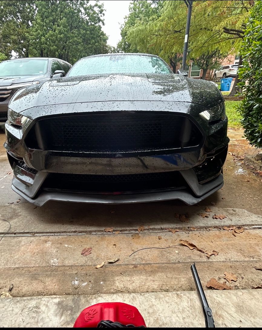 Shadow Black Gt350 bumper