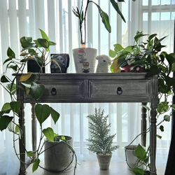 Console Table with 2 drawers / Mueble con 2 Cajones