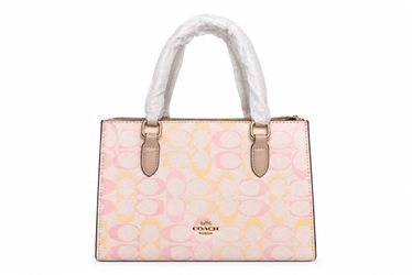 Coach Signature Canvas Mini Satchel Handbag