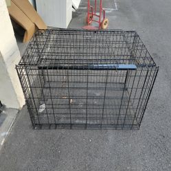 big dog cage really cheap