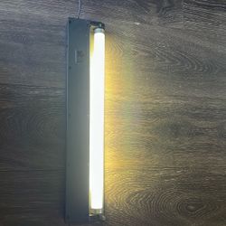 Black Light With Regular Bulb.