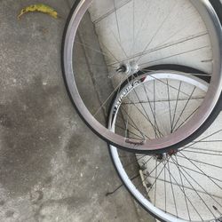 Fixie Bicycle Tires And Rima