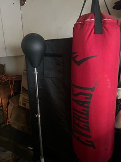 80LB Punching & Kobra Bag $30 OBO