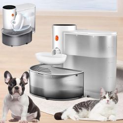 Automatic Water Dispenser for Cats and Small Dogs