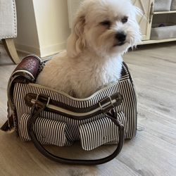 Dog Carrying Bag