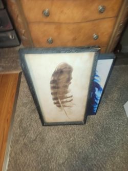 Feather art