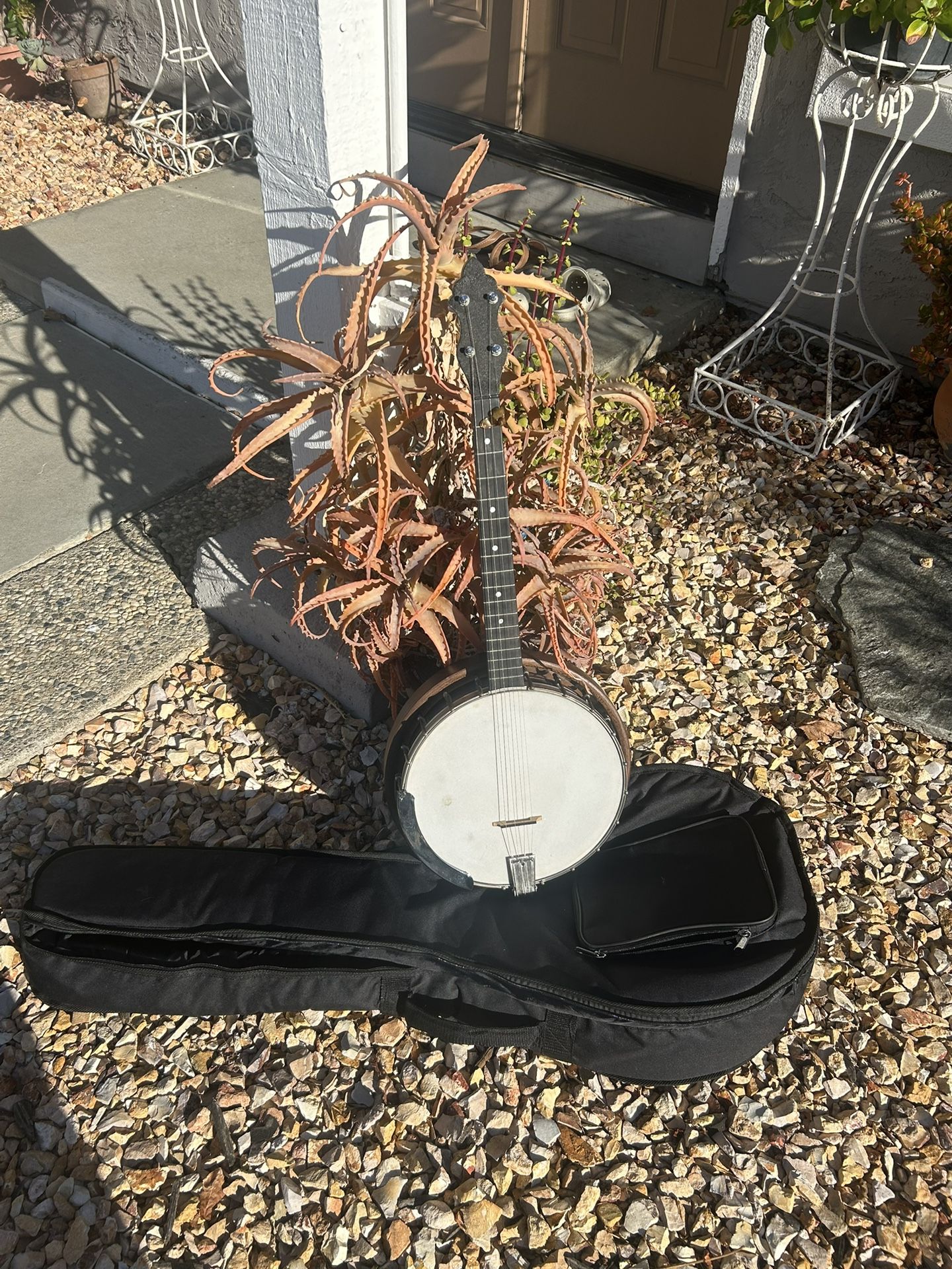 Gorgeous Banjo Banjo $325 Vintage Weymann 1920s Tenor