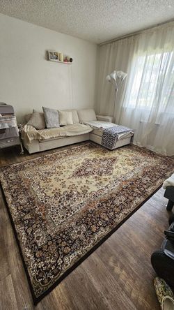 Living Room Rug