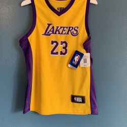 LOS ANGELES LAKERS LEBRON JAMES JERSEY KIDS SIZES MEDIUM AND LARGE AVAILABLE GREAT FOR CHRISTMAS GIFT OR JUST TO GIVE