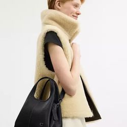 Lana shoulder Bag (COACH)