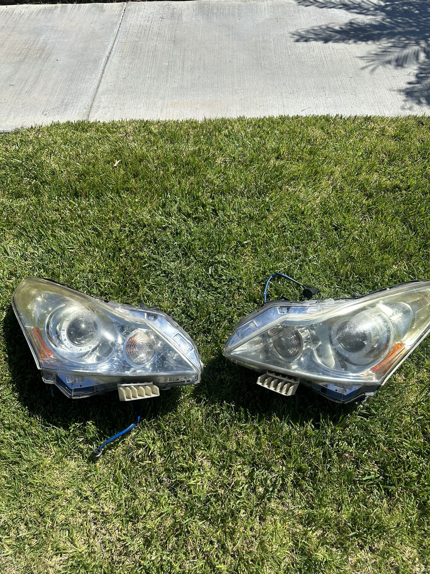 G37 Head Lights