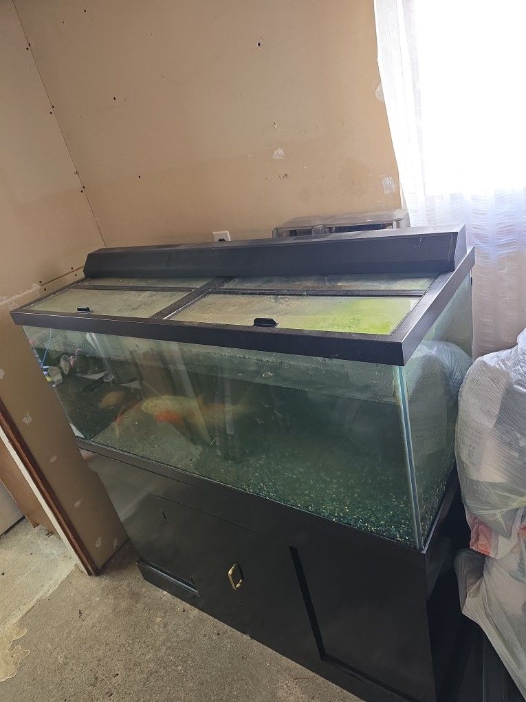 60 Galon Fish Tank