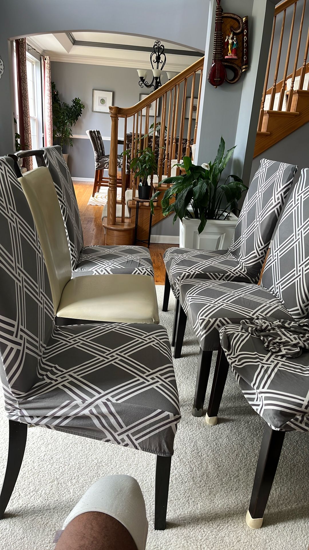 Six Chairs With Covers