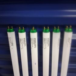 NEW, 2 PACKS OF TWO BULBS TOTALING 6 BUKBS AND 6 NEW SEPERATE BULBS TOTALING 12 BULBS. GREAT BUY CANT GO WRONG WITH THESE!!!