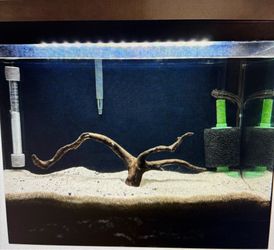 20 Gallons Aquarium fish Tank and two very nice Angels fish