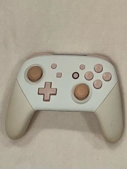Nintendo switch pro controller