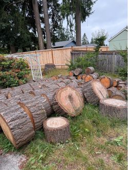 Free wood rounds
