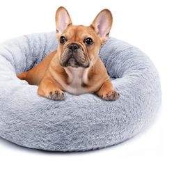 Pet Nest.  