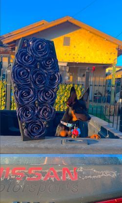 11 Count Black Glitter Coffin