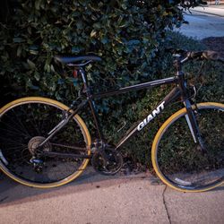 Hybrid Bike - Giant