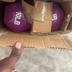 2 10 Pound Weights 