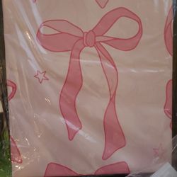 Coquette Theme/Bow Girl Party