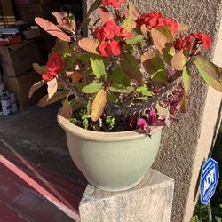 60$ Each 2 Large Pot Ceramic  Corona D Maya