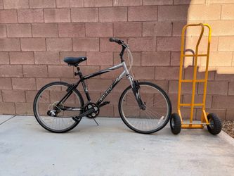 Giant adult bike