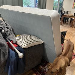 Free Full Box Springs