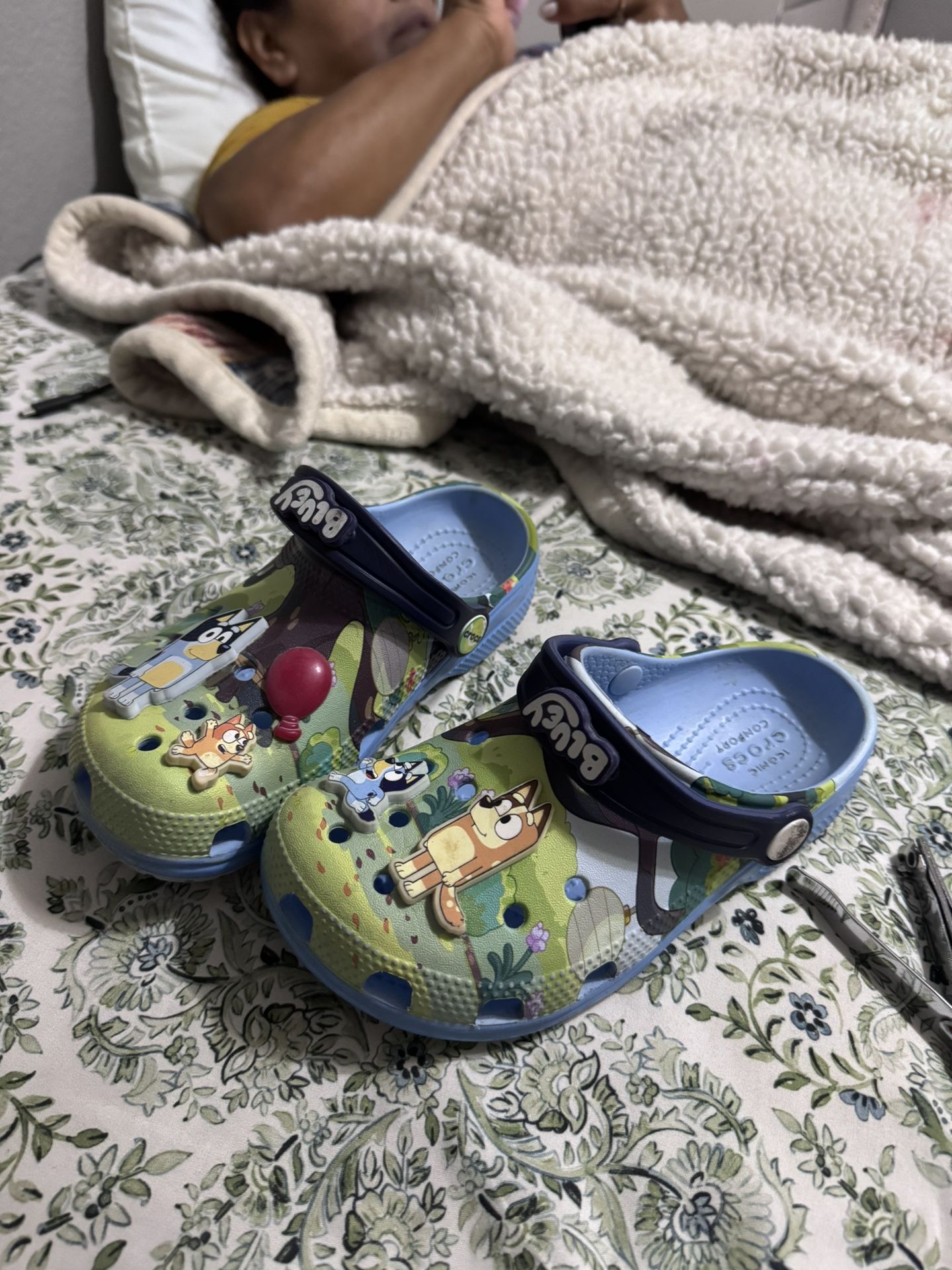 Bluey Crocks