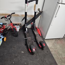 Bird Scooter Project