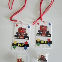 LEGO Brick Fest Lanyards and Pins