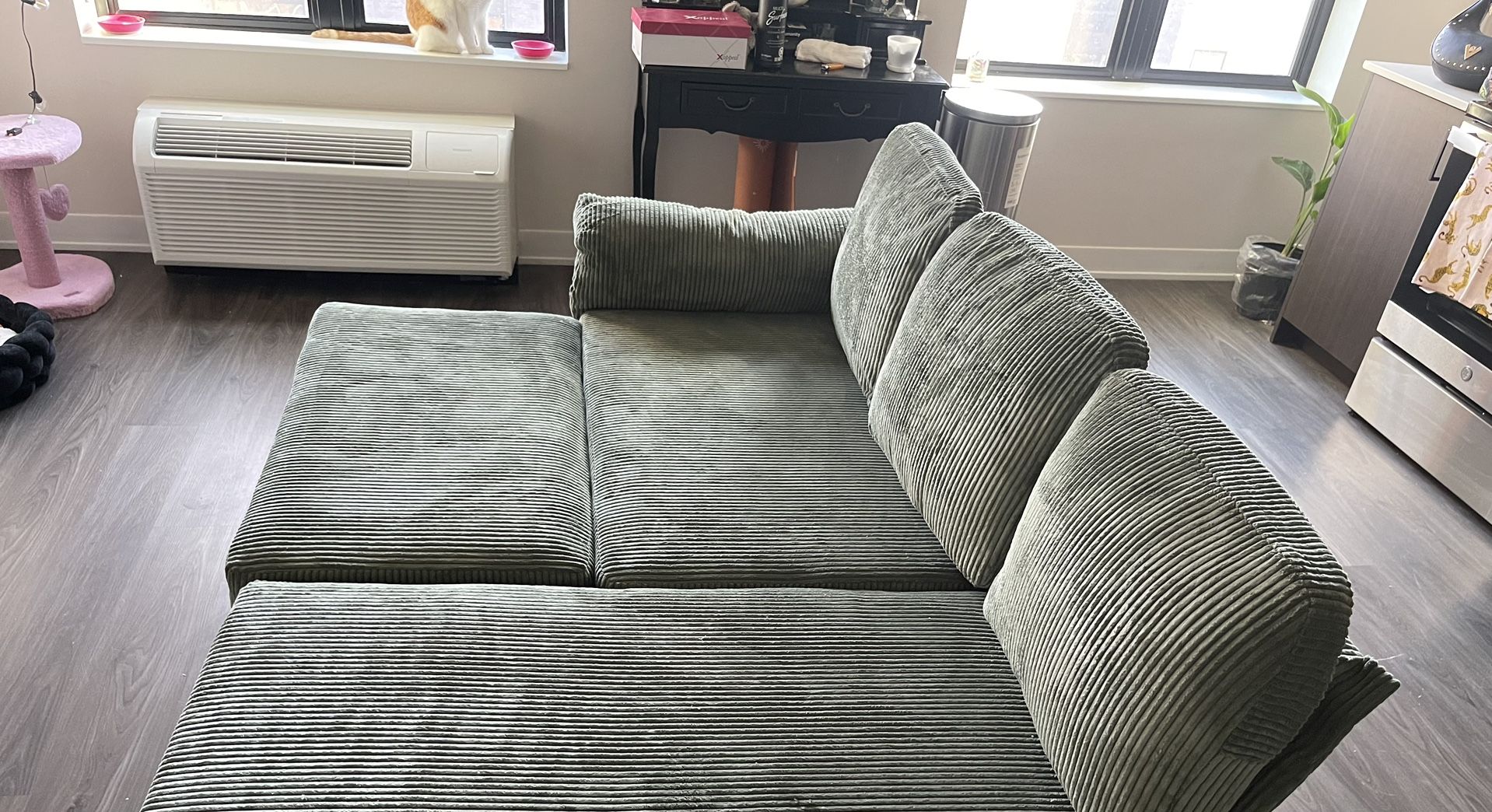 Green Corduroy Couch