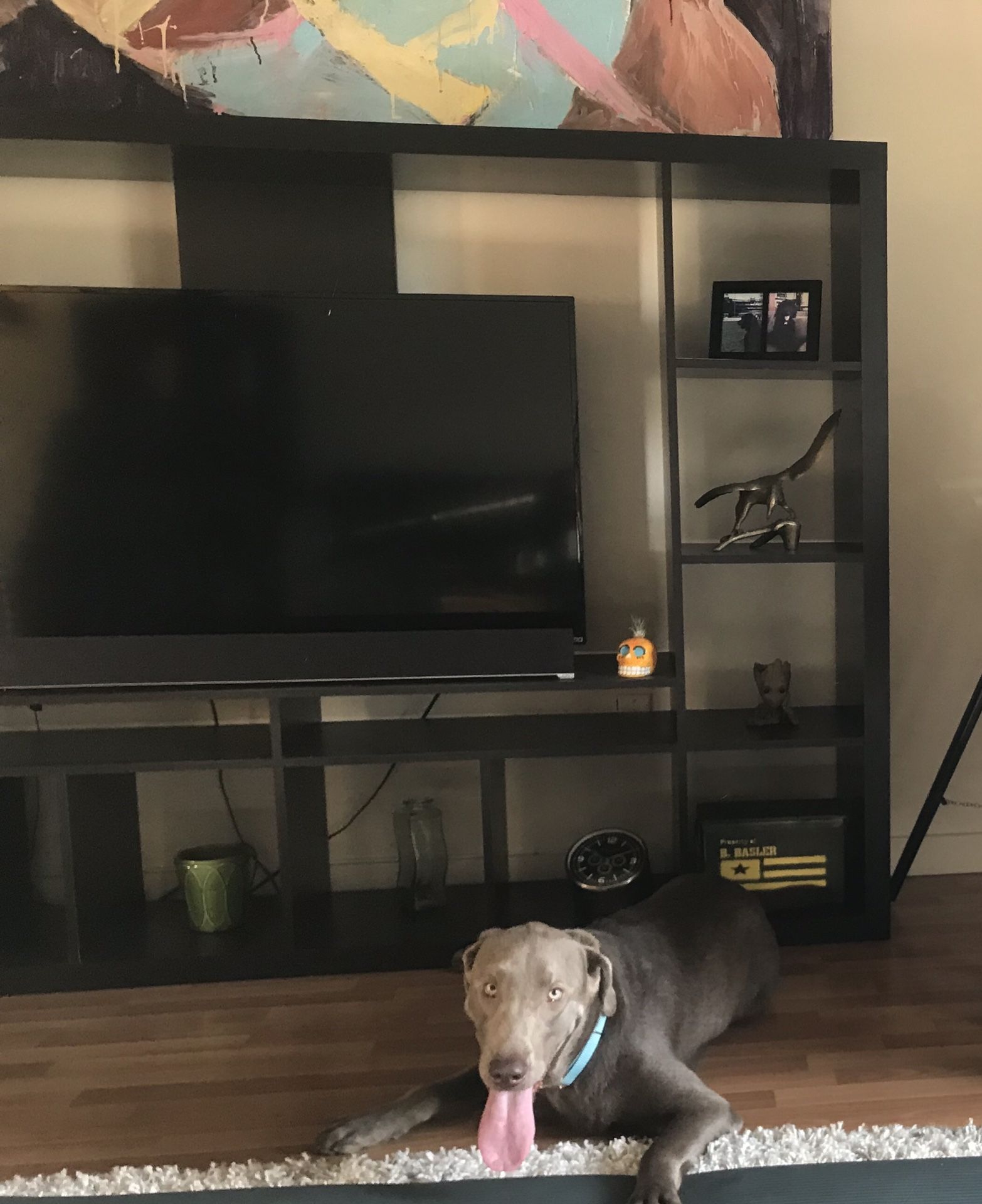 Black TV entertainment stand/shelving