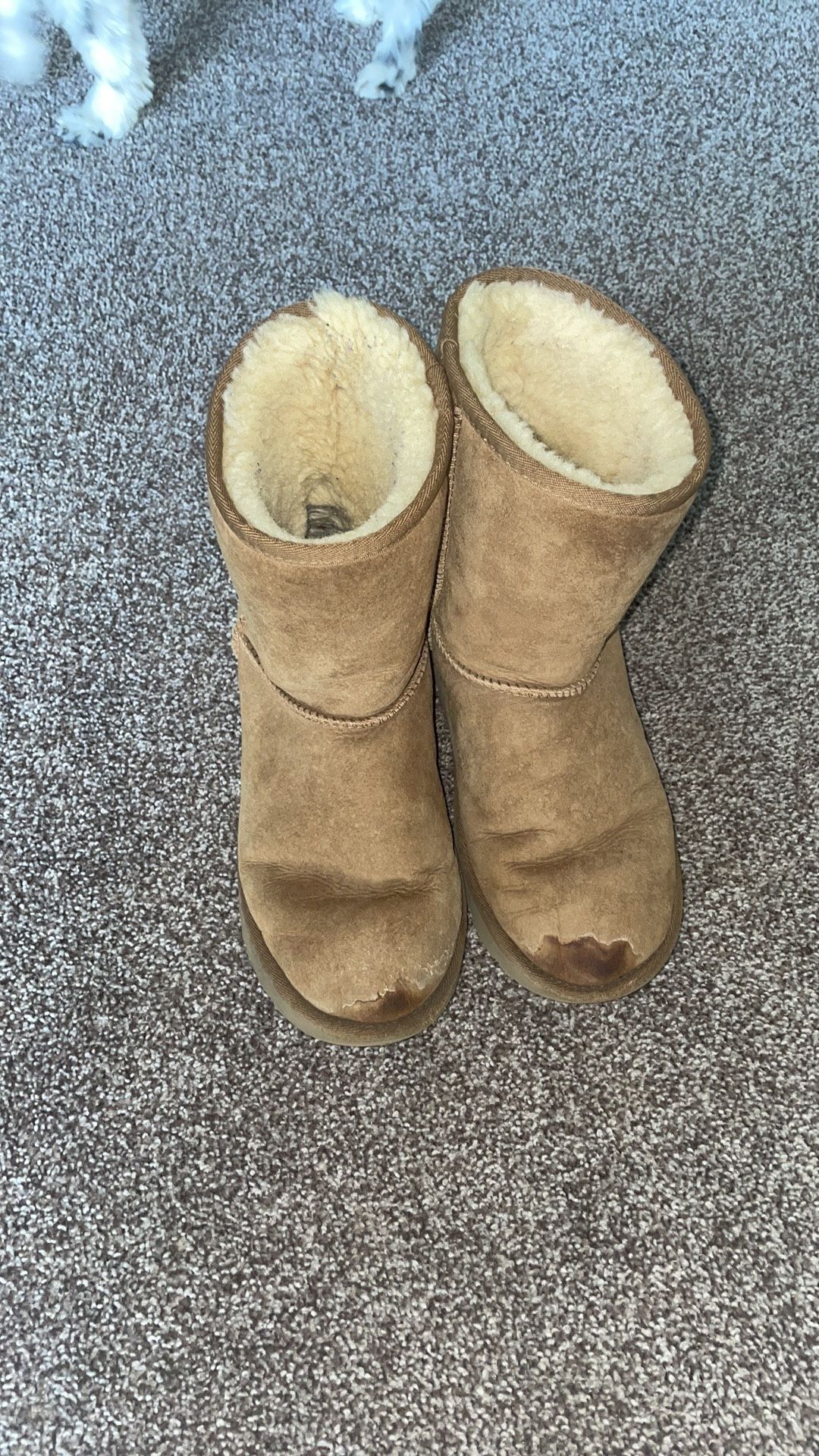 UGG BOOTS
