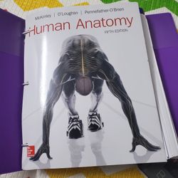 Human Anatomy