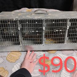 4  Compartment Sm.Animal Transport Cage