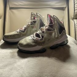 LeBron Shoes