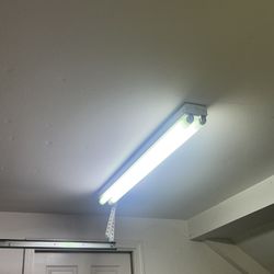 Lights 