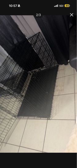 Big DOG CAGE