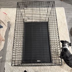 Extra Large Dog Crate