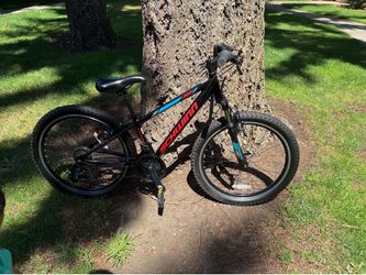 Schwinn bike