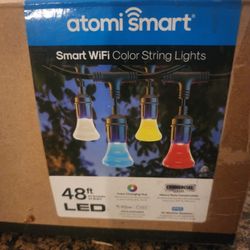 Smart Wi-Fi color string lights